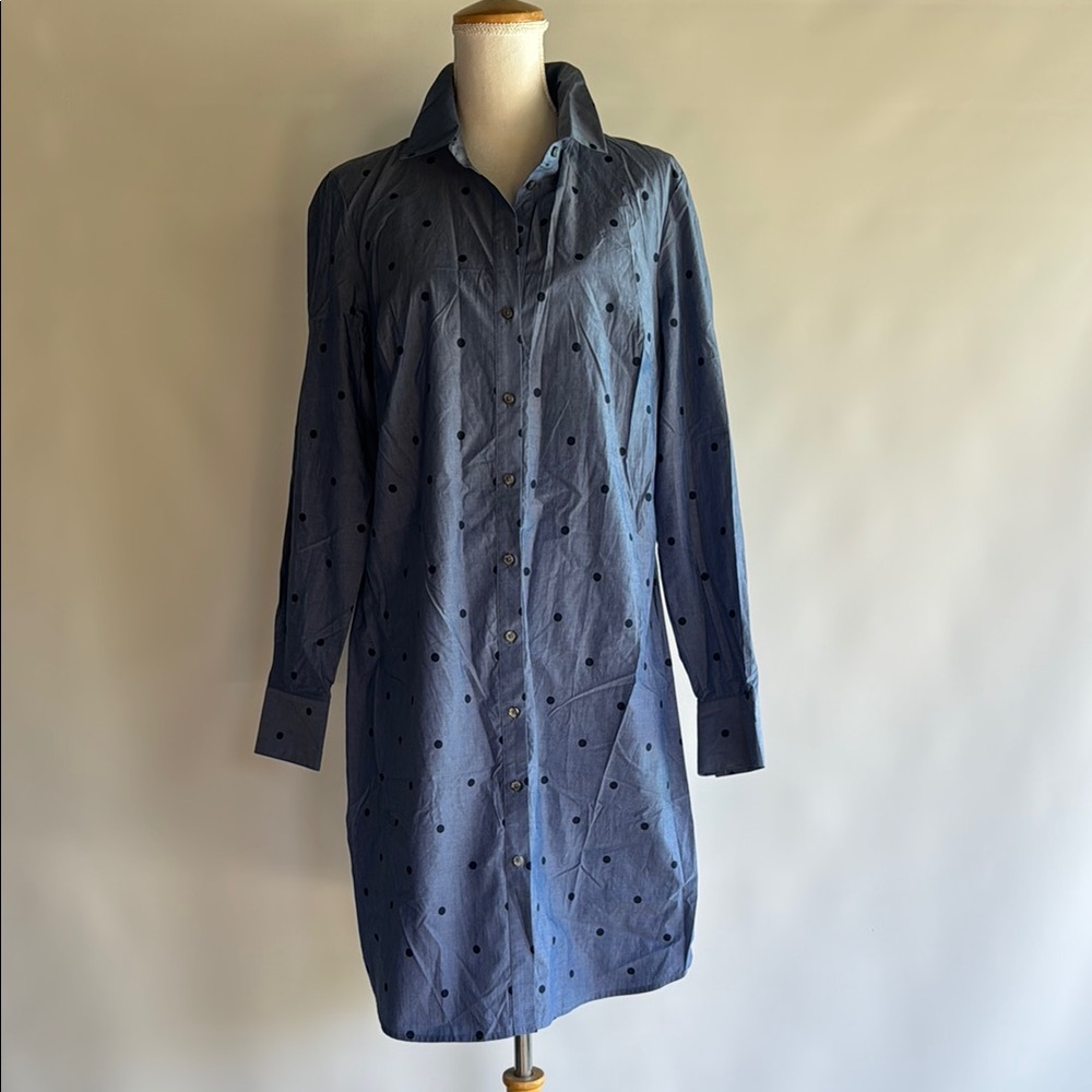 Boden Polka Dot Shirt Dress - sz 10R